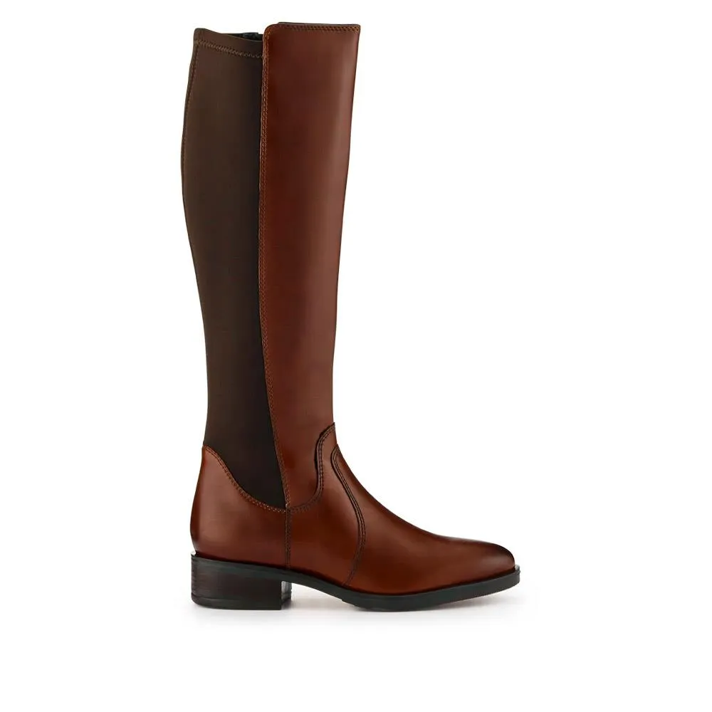 Ellisia Leather Stretch-Fit Long Boots - ELLISIA / 326 064